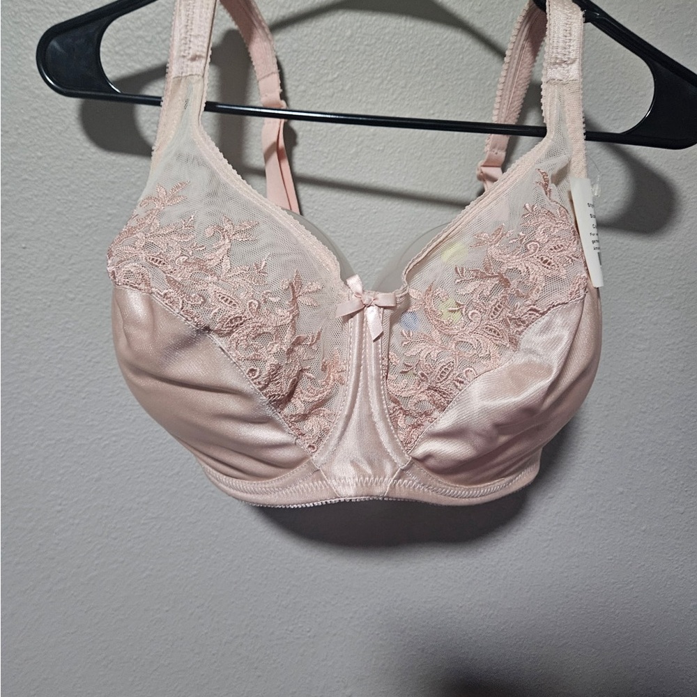 Aviana style 2456 size 34H Light Pink Nude Lace Embroidered underwire Bra